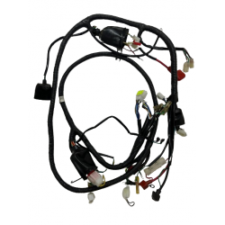 Motoran Karry 125 Elektrik Tesisatı 