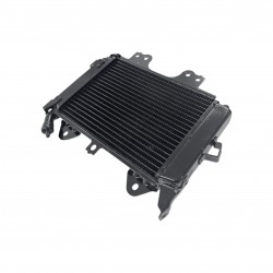 Bajaj Pulsar NS 200 Radyatör