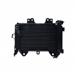 Bajaj Pulsar NS 200 Radyatör