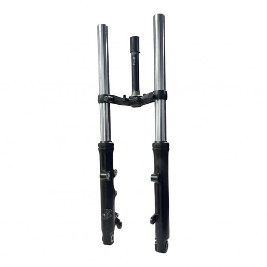 Bajaj Pulsar RS 200 Ön Çatal Komple