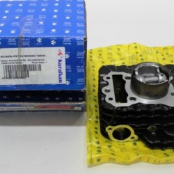 Bajaj Pulsar NS 150 Silindir, Piston, Segman Takımı (Orijinal)