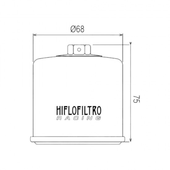Hiflo HF-138 RC Suzuki Burgman AN 650 ABS Yağ Filtresi (2002-2015)