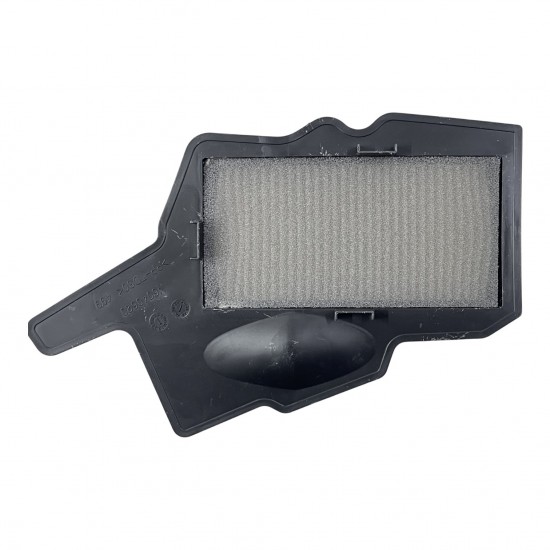 TVS Raider 125 Hava Filtresi 