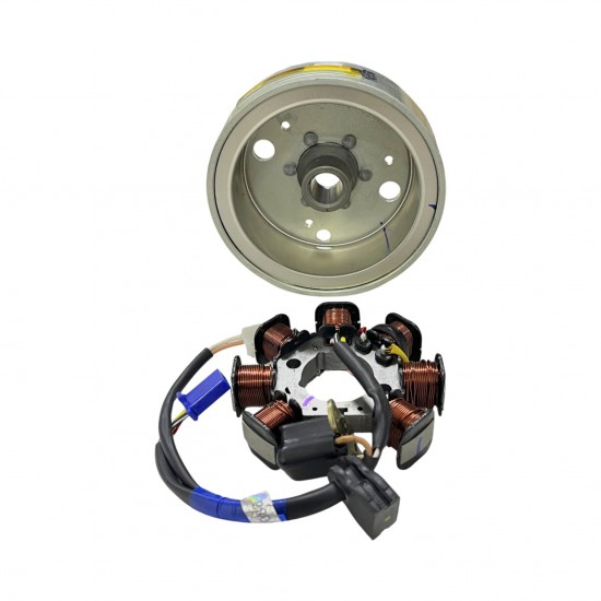 TVS Wego Alternatör Komple
