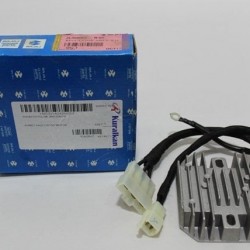 Bajaj Pulsar NS 200 - RS 200 - NS 160 Euro 3/4 Konjektör (Orijinal)