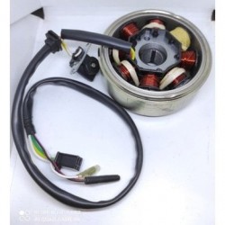 Motoran Maximus 150 Statör ve Volan Komple 