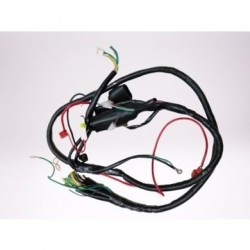 Motoran Maximus 150 Elektrik Tesisatı