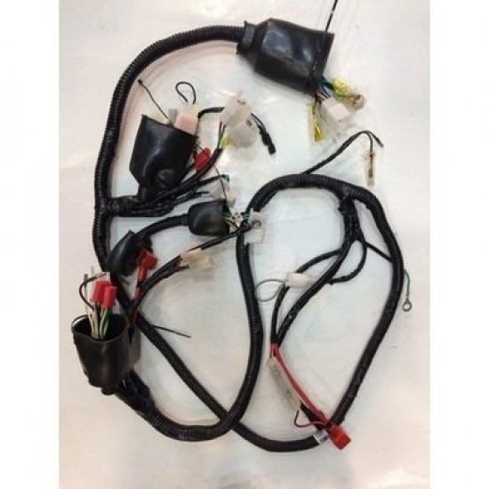 Motoran Wind 125 Elektrik Tesisatı (Kablo Takımı)