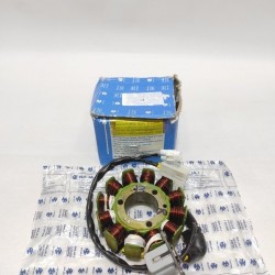 Bajaj Pulsar NS 160 Statör 12 Sargı